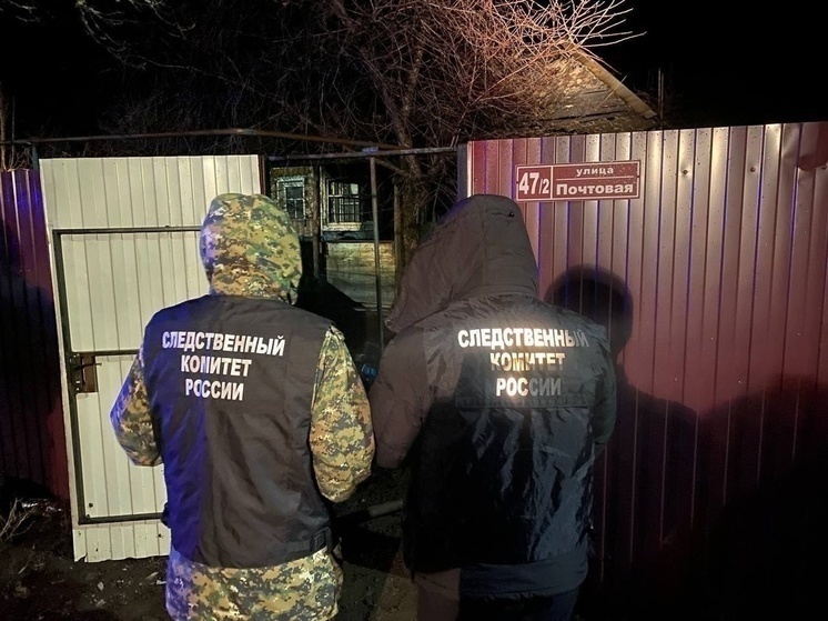 В Курской области СК назвал причину пожара, где погибли двое малолетних детей