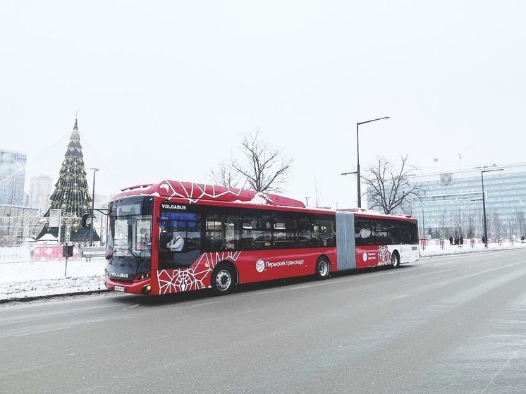 На пермские улицы досрочно вышли 16 автобусов-«гармошек»