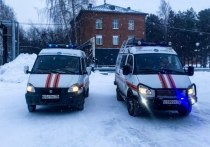 В телеграм-канале томской областной поисково-спасательной службы опубликована сводка работы за неделю с 13 по 20 января