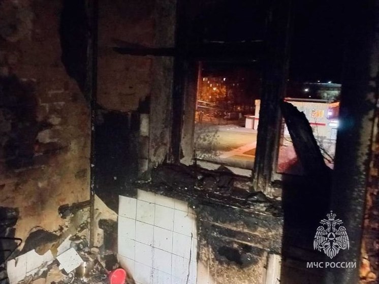 В Алексине пожарные спасли от огня трех туляков