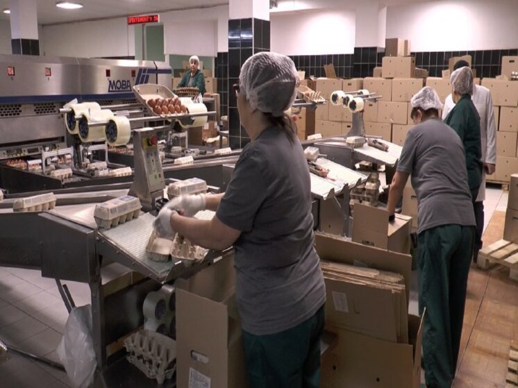 Астраханская птицефабрика вернулась к работе после тяжёлой вспышки гриппа