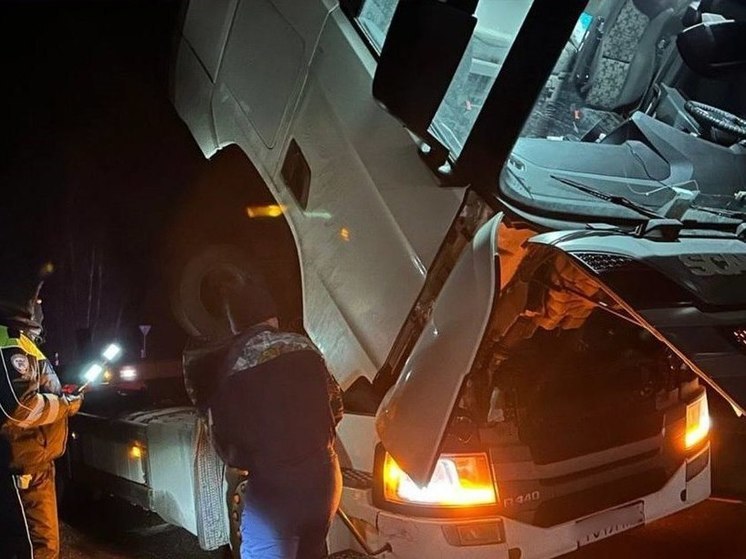 Воронежские полицейские выручили дальнобойщика в беде