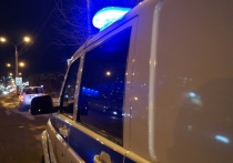 В городе Красноярске произошел инцидент с участием девятилетнего мальчика, который напал на девочку во дворе дома на улице Тотмина
