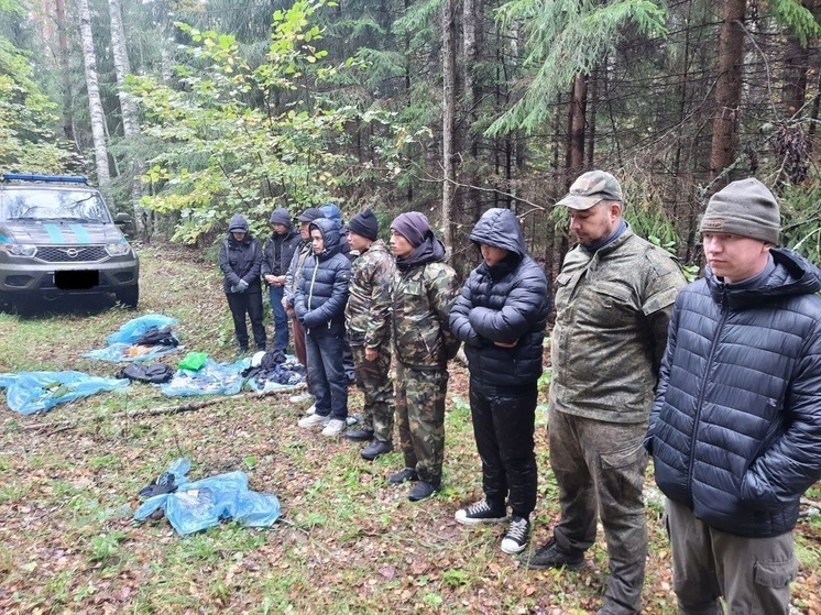 Иностранцев, пытавшихся незаконно пересечь границу, поймали в Палкинском районе