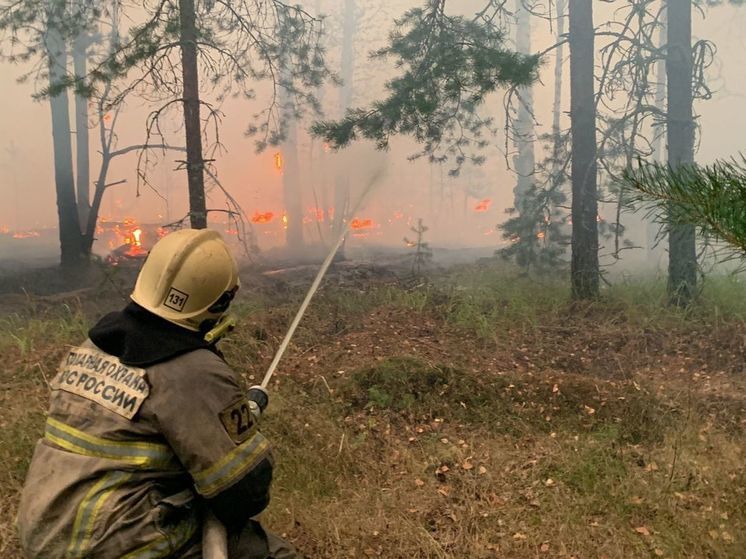 Пожароопасный сезон начнётся в Рязанской области в апреле