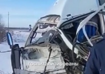21 января на трассе Курган – Куртамыш произошла авария, в результате которой погиб один человек