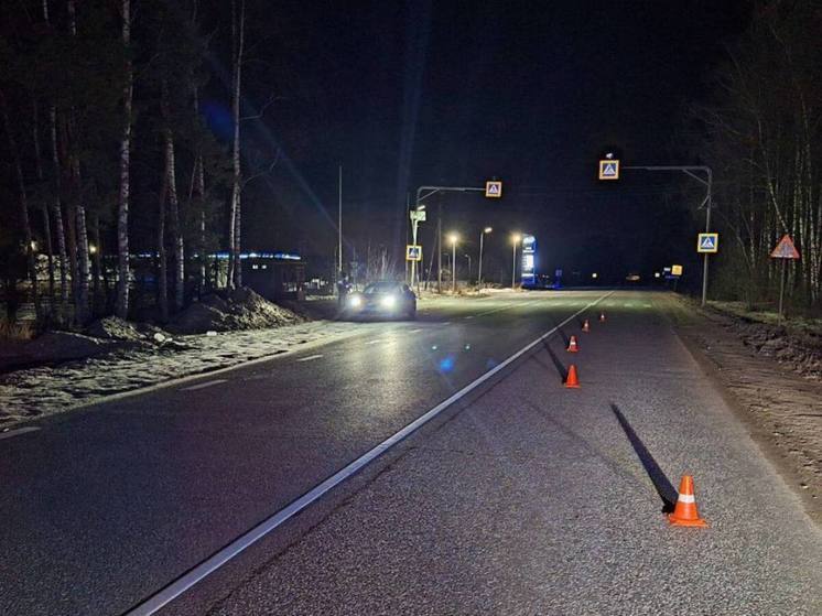 Двое пешеходов погибли вечером в Подмосковье, попав под машины