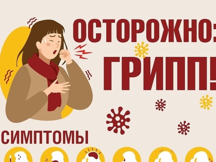 «Свиной» грипп и ковид атакуют Нижегородскую область