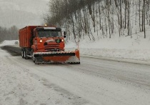 В среду, 22 января, на Приморский край обрушился небольшой снегопад, однако он не стал причиной транспортных затруднений