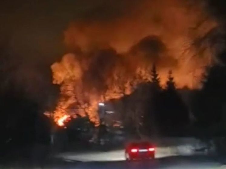 Жуткие кадры ночного пожара сняли в Подмосковье