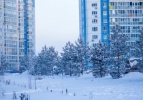 Днём в четверг в областном центре возможен небольшой снег