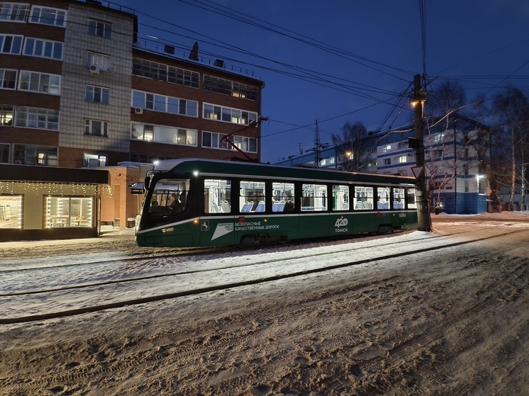 В Томске ввели режим повышенной готовности из-за непогоды