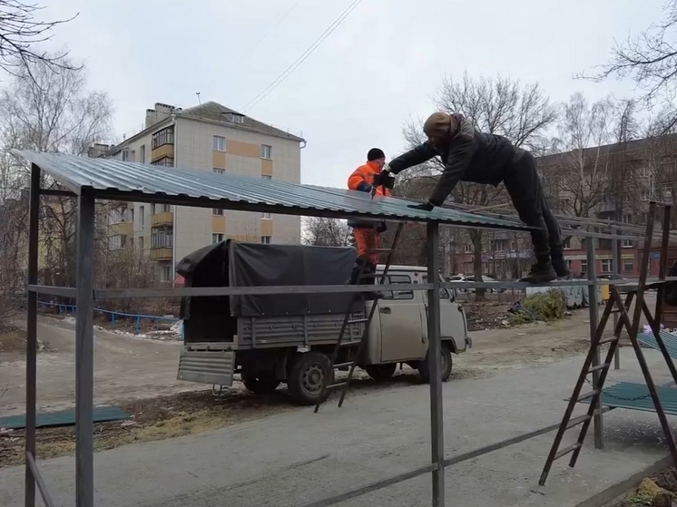 В Тамбове оборудовали новую площадку для сбора отходов