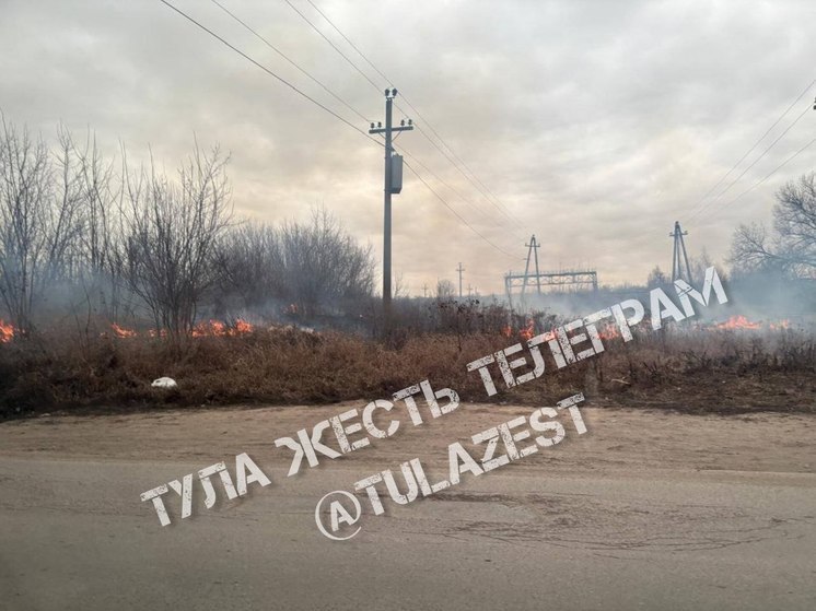 В Туле пал травы зафиксировали в середине января