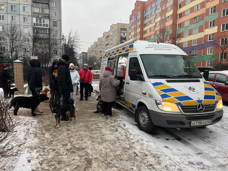 В Сертолово 110 собак поставили на регистрационный учет