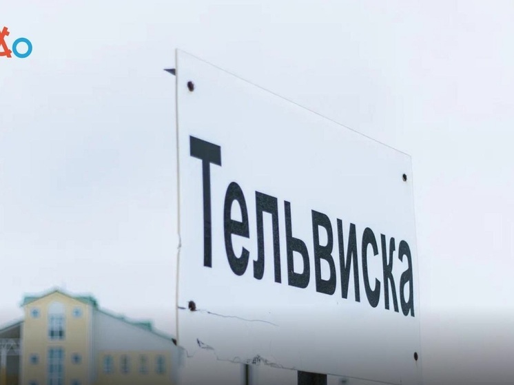 Сотрудник гостехнадзора проведёт приём жителей в Тельвиске