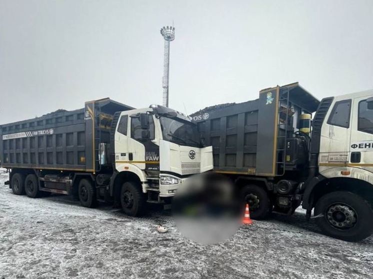 Полиция начала проверку после смертельного ДТП на терминале Усть-Луга