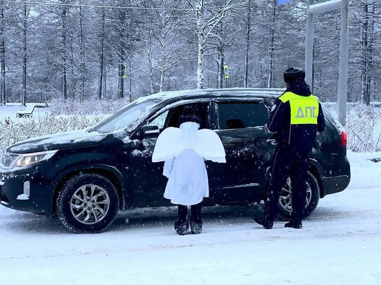 В Мурманской области детей обучают поведению на дорогах с помощью «Безопасного колеса»