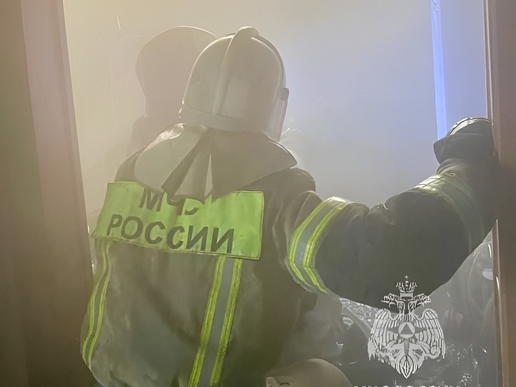 В Семилукском районе Воронежской области при пожаре погиб мужчина