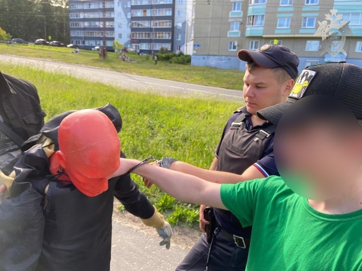 Подростка из Петрозаводска отправили в воспитательную колонию за грабеж