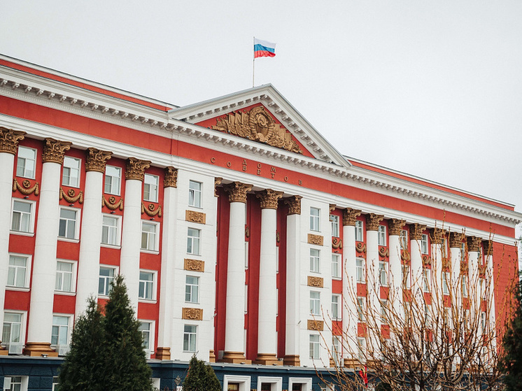 Фонд президентских грантов поддержал 12 проектов курских НКО