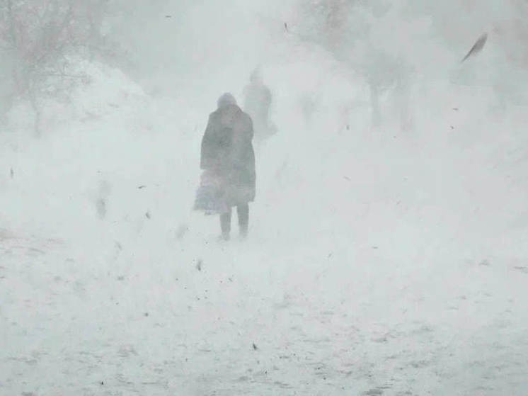 В Новосибирской области восстановлено электроснабжение после шторма