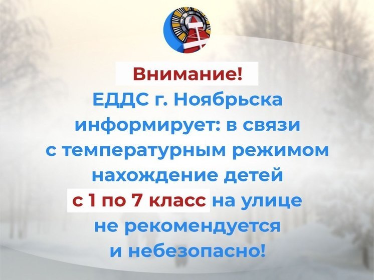 Ученикам 1-7 классов разрешили не идти в школу из-за мороза в Ноябрьске
