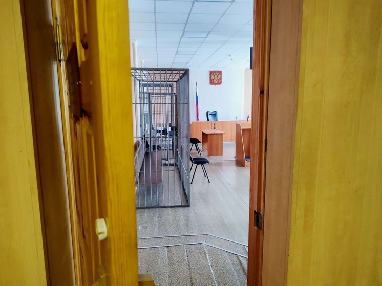 По делу «барнаульского маньяка» очно допросили двух свидетелей со стороны защиты