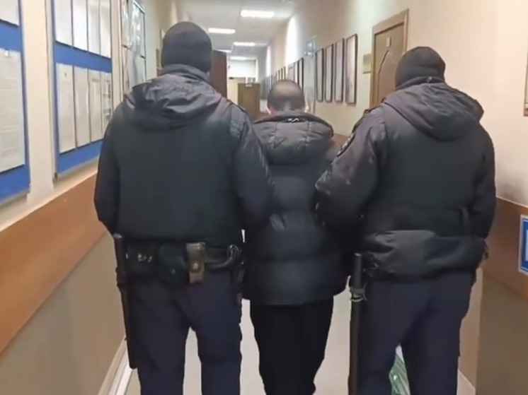 Полицейские задержали шестерых вандалов, разгромивших подмосковную электричку