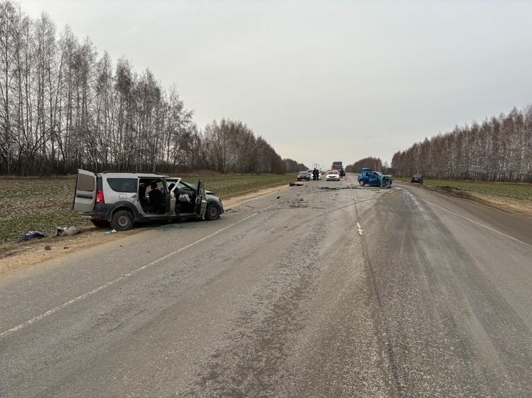 Стали известны подробности смертельного ДТП вблизи деревни Разбегаевка Орловской области