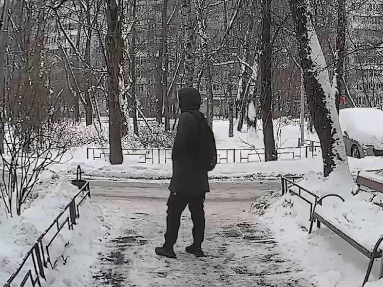 Жительница Химок отдала мошенникам 4 миллиона рублей в надежде спасти вклады