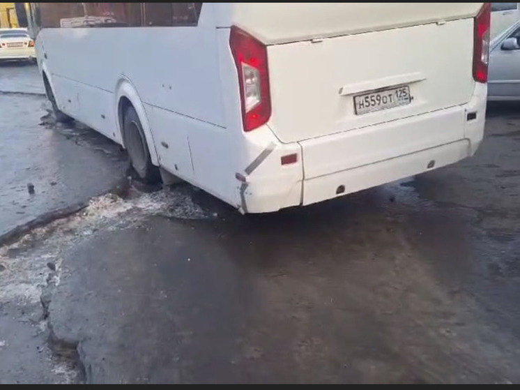 Замерзшие фекальные торосы блокируют движение автобусов в Партизанске