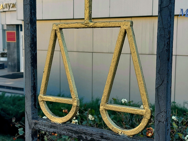 Четыре калужанки обвиняются в махинациях с маткапом