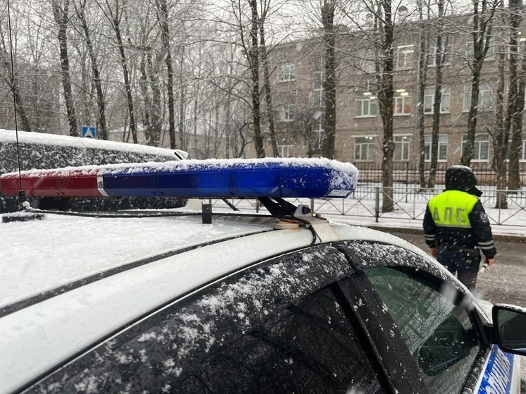 В выходные в Ленобласти будут ловить пьяных водителей
