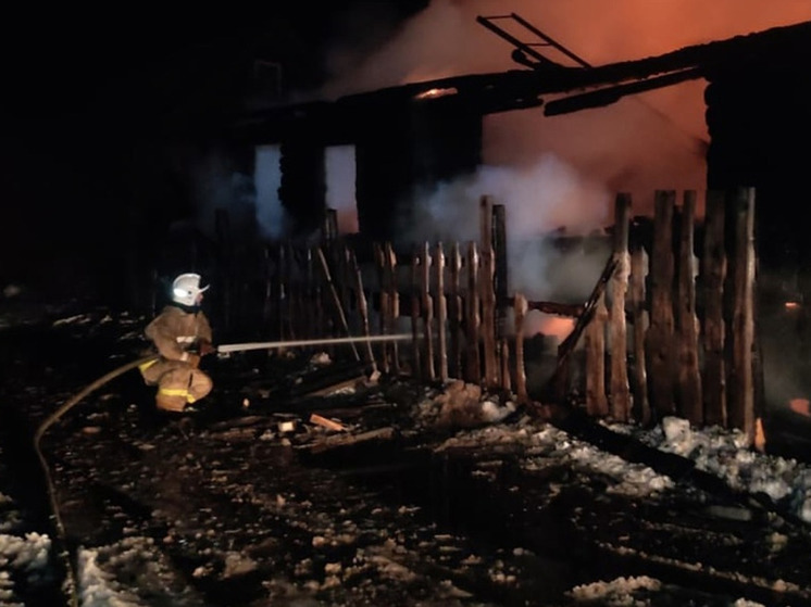 В ночь на 23 января в Новгородской области при пожаре погибли два человека