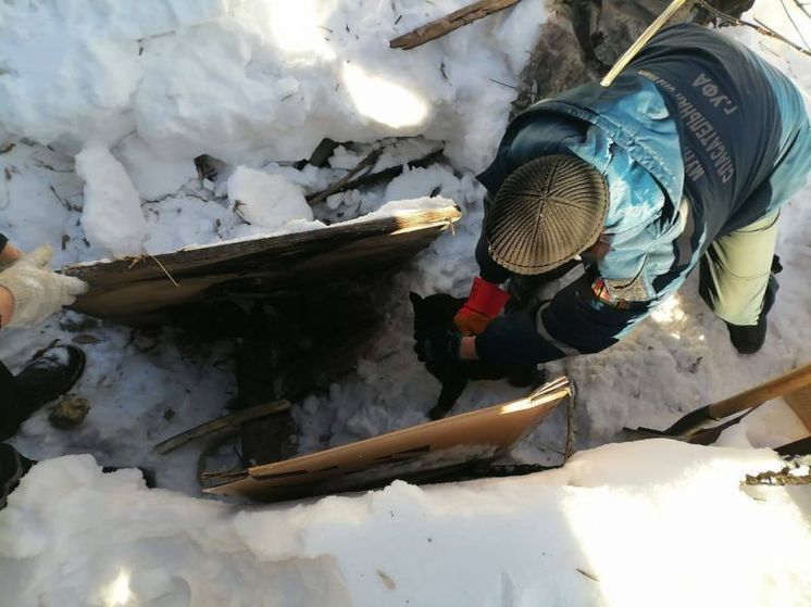 Уфимские спасатели не дали погибнуть на морозе пятерым щенкам