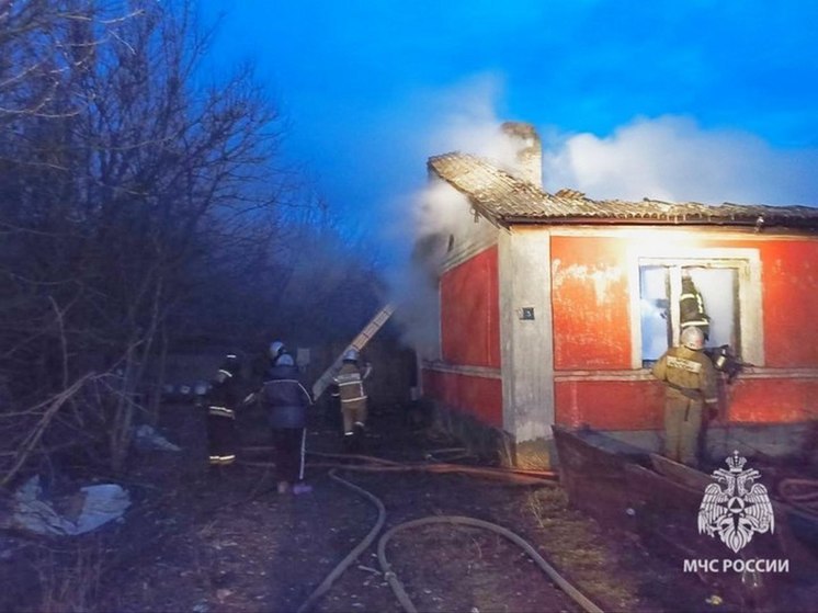 Два человека погибли в пожаре в Липецкой области