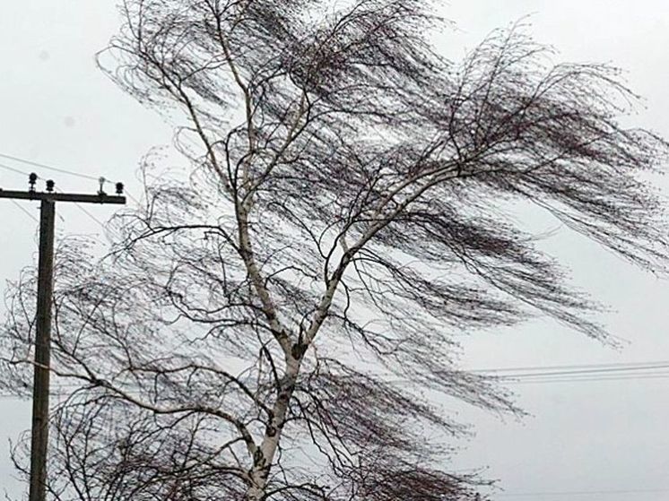 Нижегородские энергетики готовы к последствиям сильного ветра