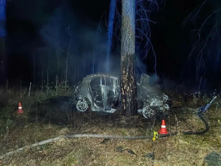 361 ДТП с пострадавшими произошло в Приангарье по вине пьяных водителей