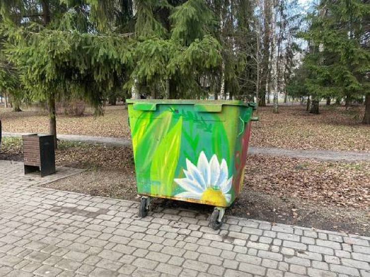 Белгородка пожаловалась на свалку и стаи ворон около кладбища в Юго-Западном