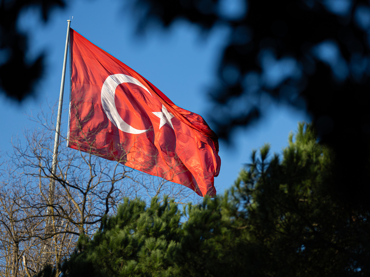 ТАСС: Фидан намерен заявить Каллас о поддержке Турцией усилий по Украине