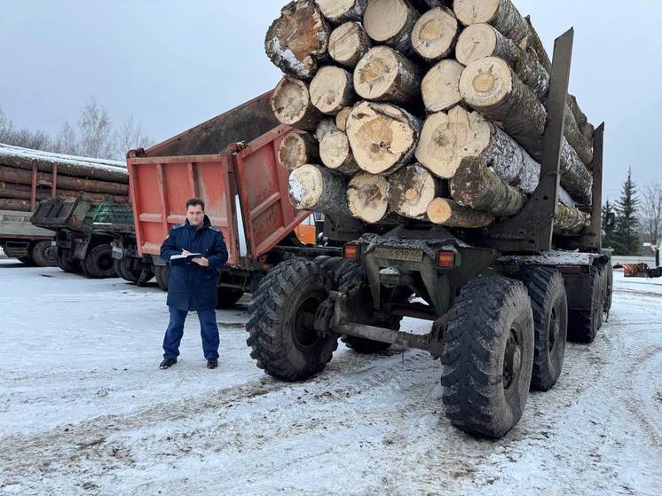В Хвастовичском районе незаконно рубили лес