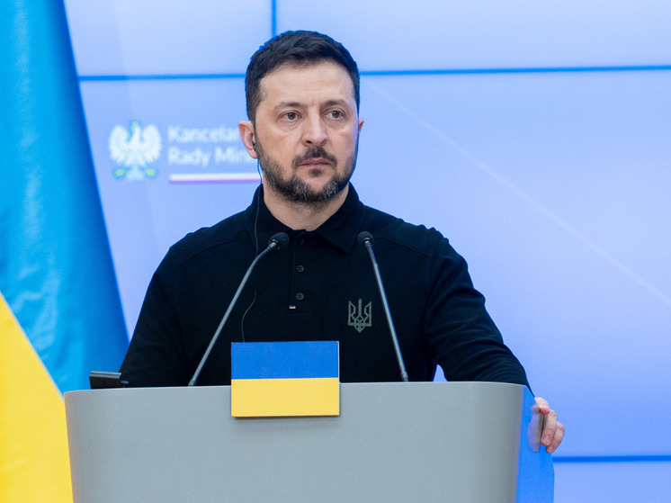 Финский профессор Малинен: Зеленский создал самый коррумпированный режим с 1945 года