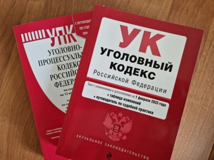 Жителя НАО обвинили в грабеже под Котласом