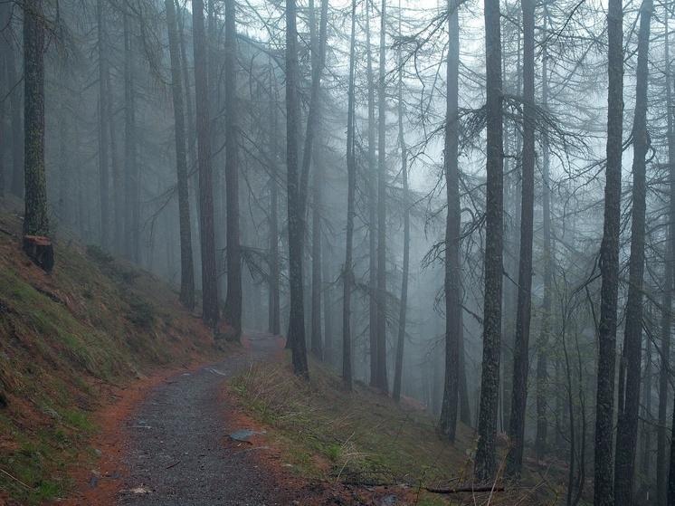 В Калужской области продолжается зимняя весна