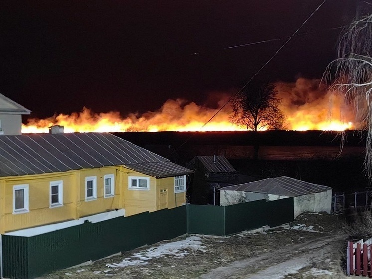 Очевидцы засняли горящее поле в Касимовском округе вечером 23 января