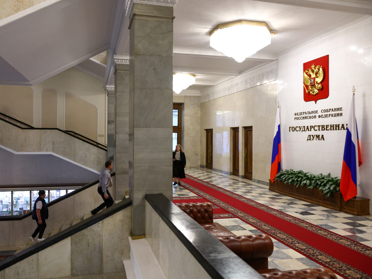Депутат Лантратова предложила бесплатный проезд студентам-родителям в транспорте