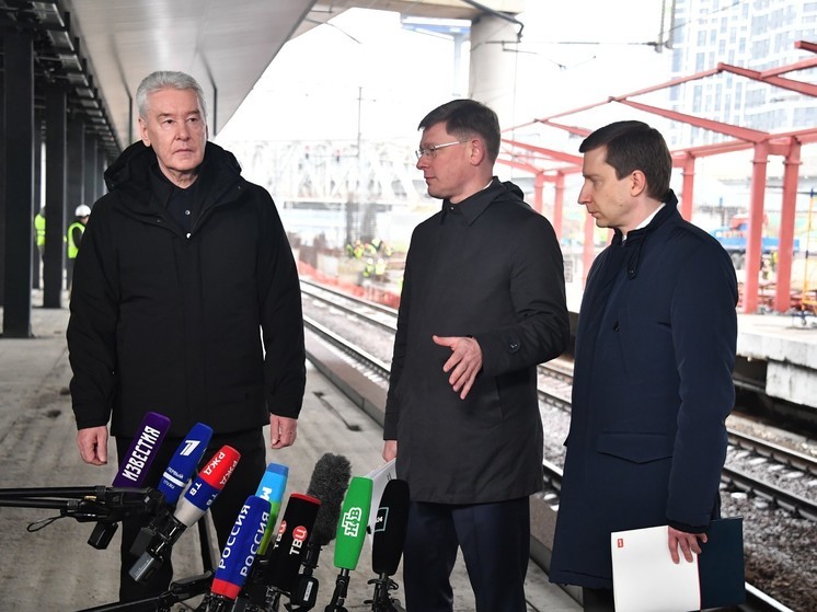 Собянин сообщил об уничтожении в округе Щелково еще одного беспилотника