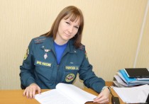 23 января - День сотрудников органов дознания МЧС России