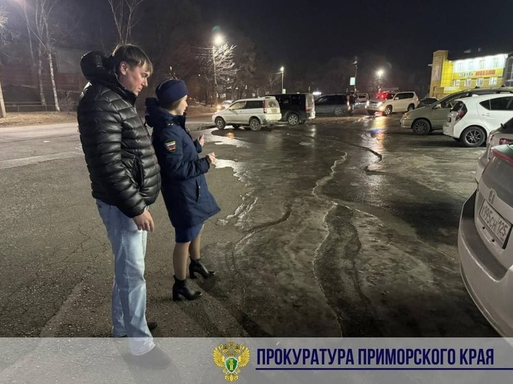 Прокуратура накажет виновного в фекальном гололеде на дорогах Партизанска